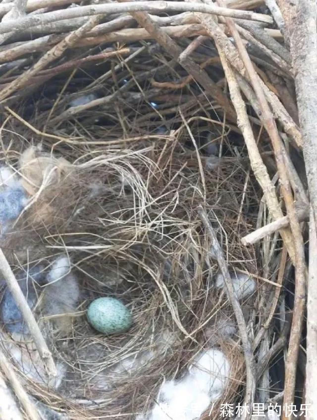 |男朋友:我太难了 冷段子1381 & 去年今日1071