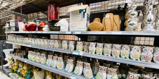 北京开了第一家绿植花卉大超市，就在南三环边上明码标价新鲜实惠