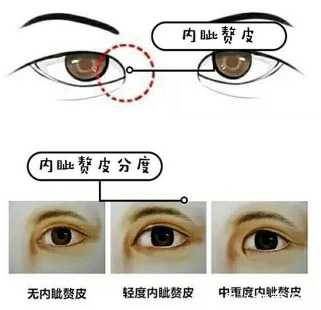 眼角 想让眼睛变大变美,可不只是一个简单的双眼皮手术就能改变的!