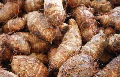 教你5个小妙招,挑选优质软糯芋头,爱吃芋头的朋友一定要学学!