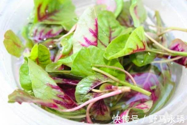 补钙|多吃4种菜, 钙含量比牛奶还高, 一分钱都不用花