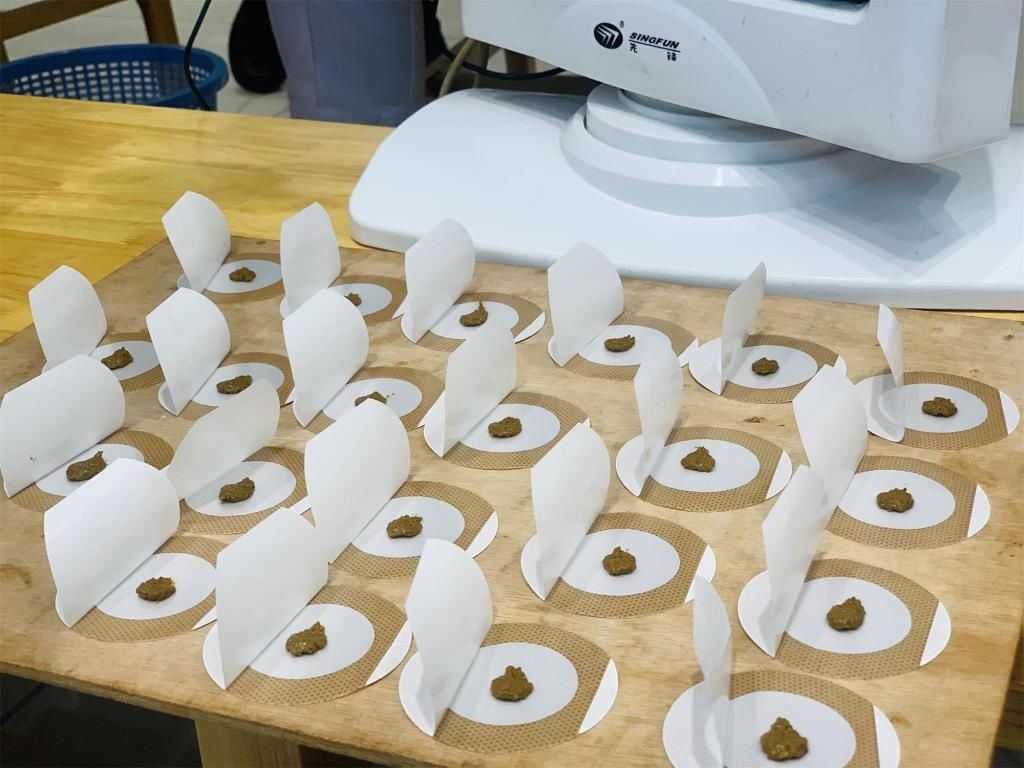 疗效|冬至养生有讲究!并非所有人都适合三九天灸