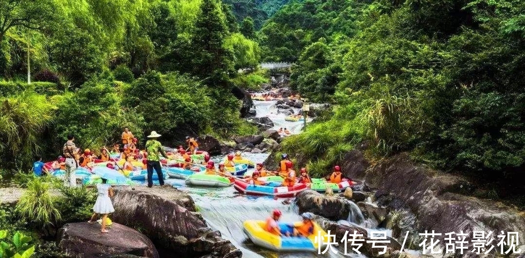 动植物|江西5A景区走红，被誉为“动植物基因库”，距抚州市105公里