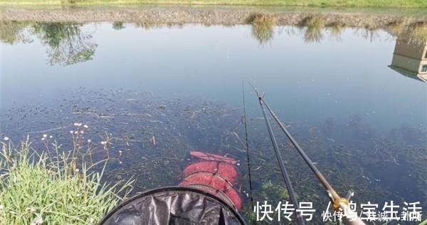 水温|冬季钓鱼,何时钓深何时钓浅?鱼窝这样找,深浅都上鱼!