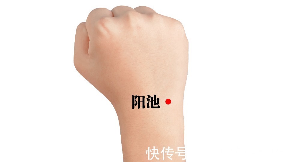 三焦|三焦经,主一身之气!打通它,排掉闷气、病气、火气,气顺百病消