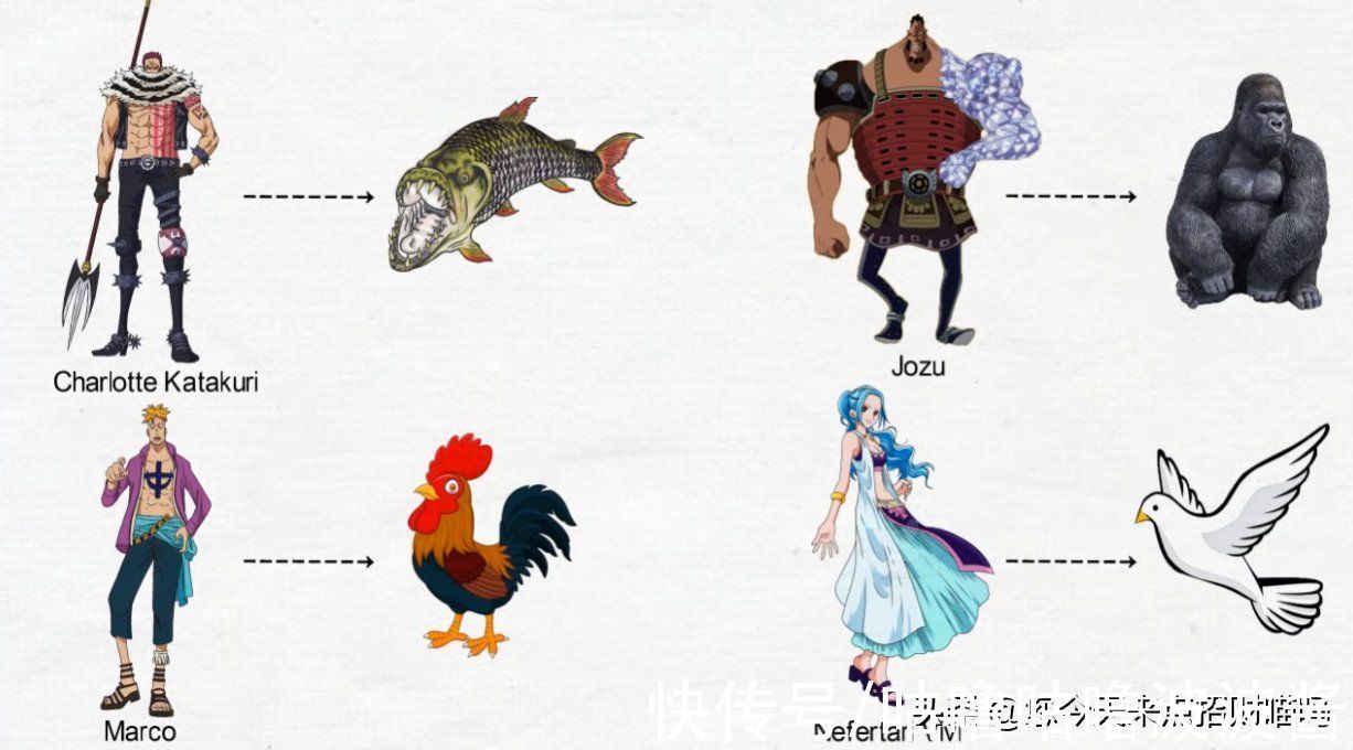 动物|海贼王:角色代表动物,侏罗纪很离谱了,上古神兽就过分了