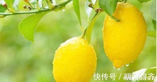 草菇|女性过了40,3种食物要多吃,排毒养颜滋补身体,改善血液循环