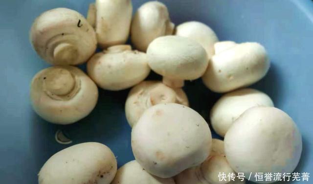 营养|冬季，这菜要常吃，虽然贵一点，但营养极高，老人孩子多吃有好处