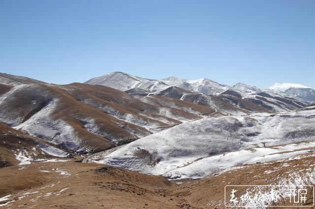 会泽草山：一个能尽情赏雪、玩雪的地方