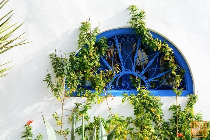 春雪|非洲最梦幻蓝白小镇,在草席咖啡馆抽水烟喝甜茶,这里的惬意不输圣托里尼