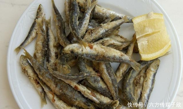 杂鱼|钓到小杂鱼是放生还是扔在岸上?其实都一样,道德绑架大可不必