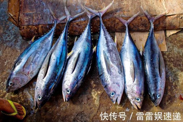 鳕鱼|宝宝吃鱼会变聪明,但吃法有讲究,这4种鱼被列入黑名单,慎吃