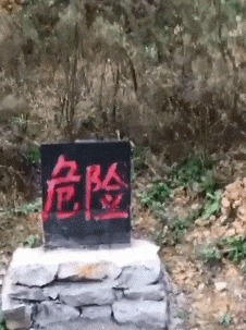 |搞笑GIF:本来我也想吃一口 但是碍于面子没张口