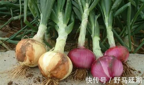 南瓜子|这6物是天然“二甲双胍”，没事换着吃，有助于血糖慢慢降低