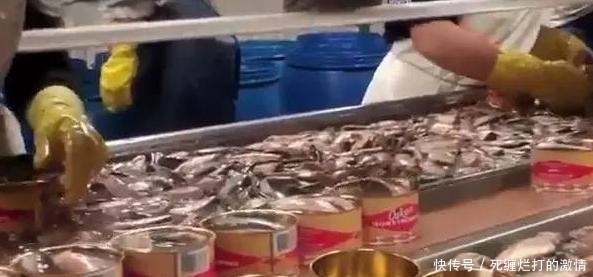 瑞典|瑞典产的一种美食堪称“核弹”,很少有人能够经得起它的“诱惑”