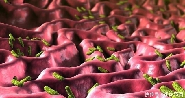 抗生素|幽门螺杆菌很怕3种食物，搭配吃，坚持15天，胃病“一扫而光”