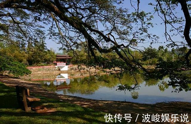 作家&老舍跳湖前,在公园湖边坐了整整一天,是什么让他最终决定去死