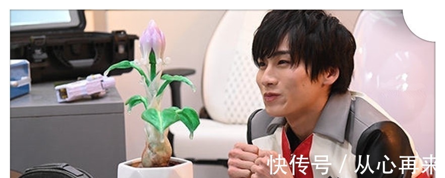 特摄剧|奥特曼新设定,圆谷确认卡尔蜜拉的思念,她对特利迦有特别的感情