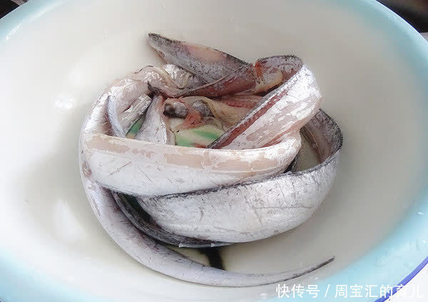 鱼腥味|爱吃鱼的人要注意,这3种鱼不是纯野生,对身体不好,遇到要避开