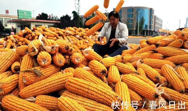 秋燥|8月7号立秋,农村老人常说“立秋有六怕”,分别指的是啥?在理吗