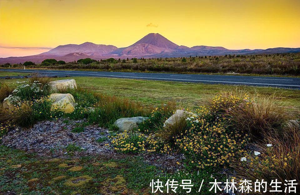 临床研究|夏天常见的皮肤病,就用这几个家中常备药,超实用!