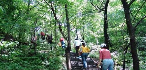 中医:如果下面这3条与你“无关”,那么恭喜,长寿很可能常伴你