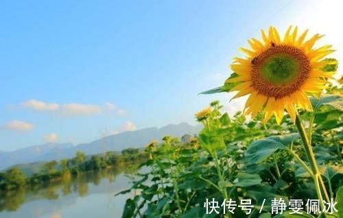 番茄红素|脸上长斑的人,3种食物是天然的“褪黑素”,吃再多也没事