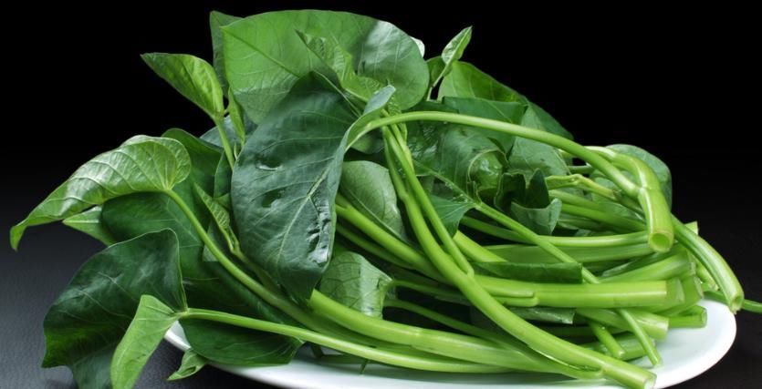 常吃|久坐族缺乏锻炼,身材走样,抵抗力下降,常吃六种蔬菜还你健康!