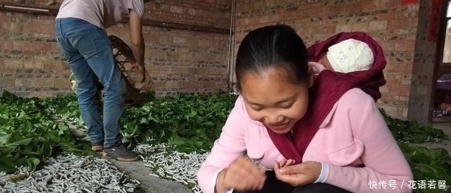 子女|进城落户子女,还能继承父母农村宅基地吗答案可能和你想的不同