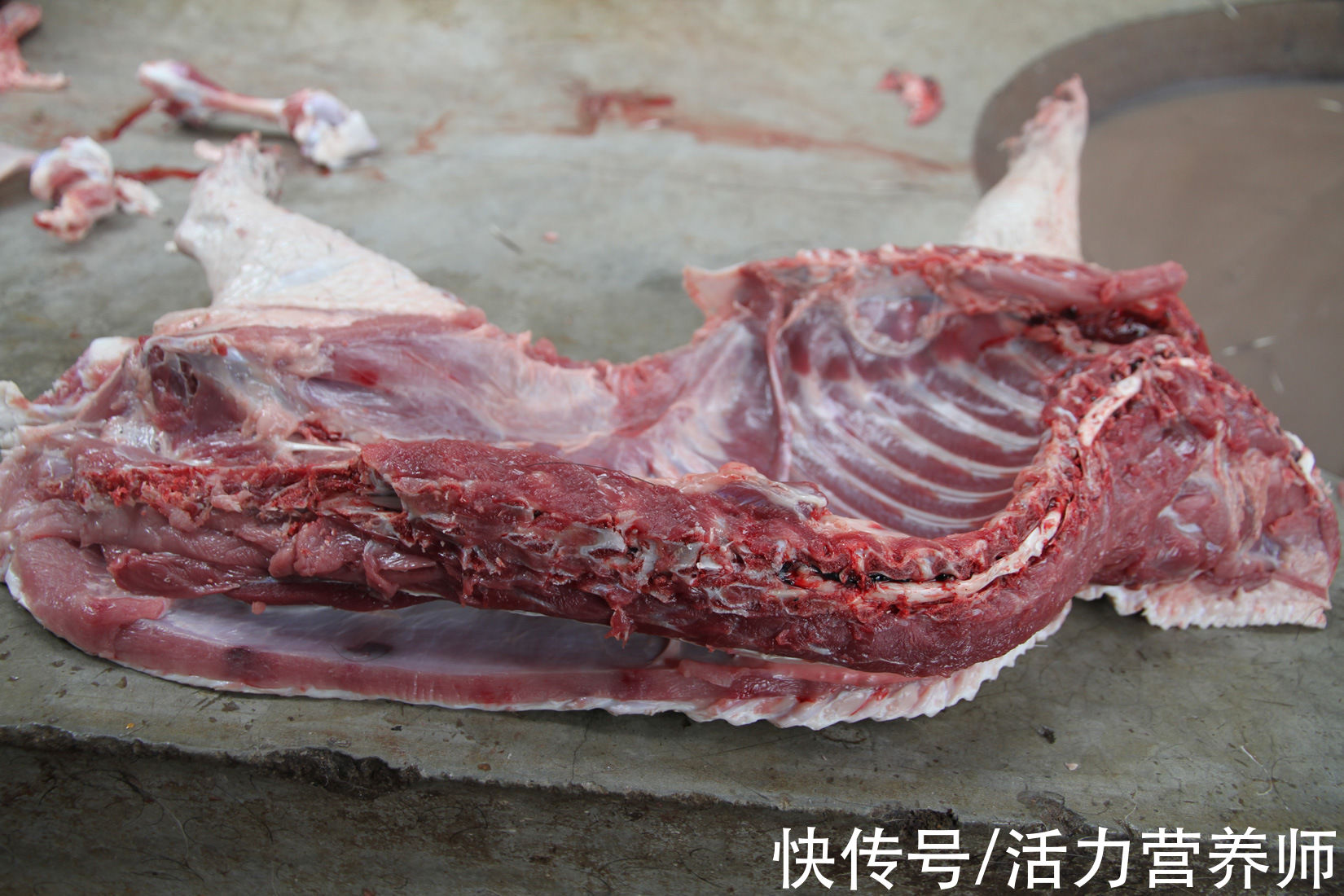 健康|为什么记性越来越差了？营养师：这4种有助大脑健康的食物要多吃