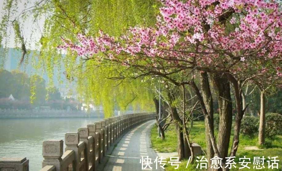 诗人$许浑的一首禅诗,不着一个禅字,字里行间满溢着对禅境的向往