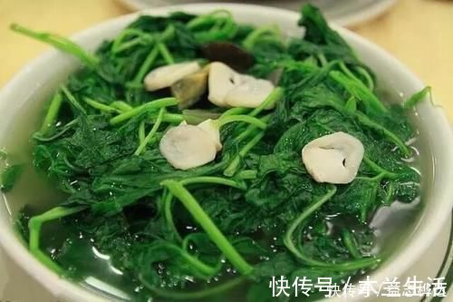 氨基酸|农村路边的这野菜,一般采摘嫩茎叶食用,味道清香鲜美,你吃过吗?