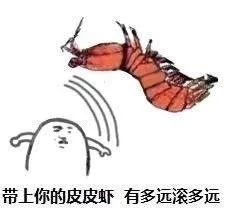 皮皮虾什么梗