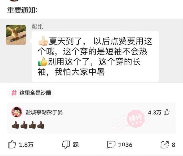 |神评段子合集：照片上有个熊猫就算了，居然还有个上发条的