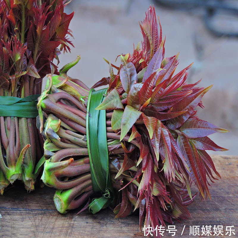 闲置的阳台别摆花了,种上此几种蔬菜种子,健康无公害吃着放心