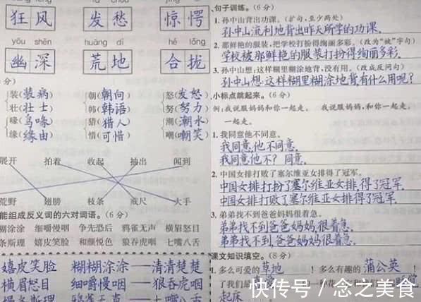 字体|9岁男孩写字被误认为印刷体，老师不忍心扣分，网友王羲之再世