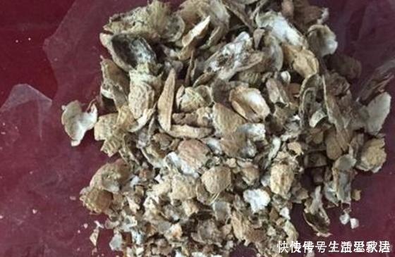 养花大爷透露这“3种料”放土里,比营养土还好用,养1盆爆1盆