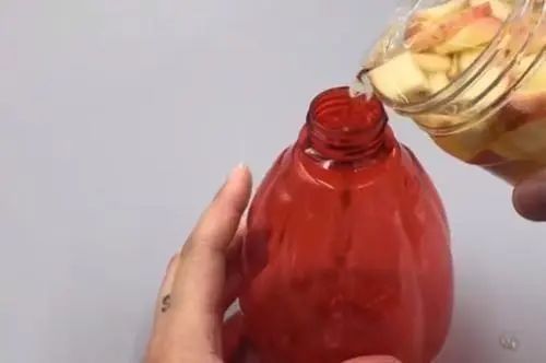 西红柿烂了别丢,越烂就越好,以前丢掉都浪费了