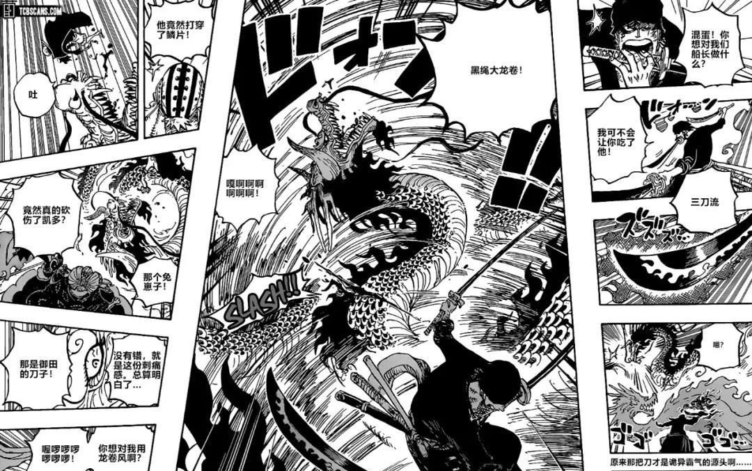 1003话分析!凯多热身完毕,开启人兽形态!