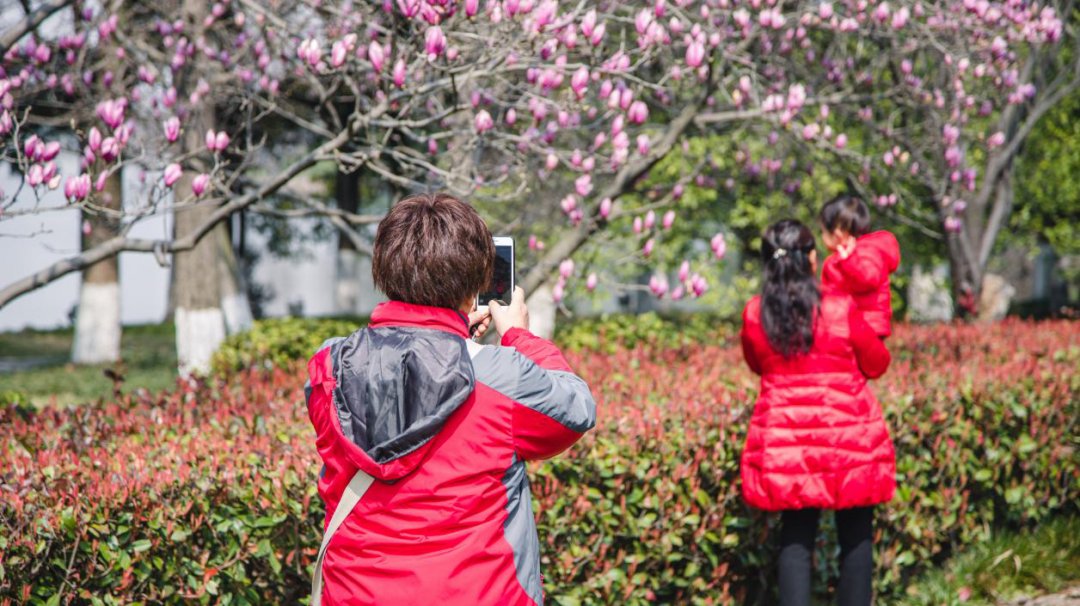 不负春光不负美，骑行、赏花约起来！（一大波美图来袭）