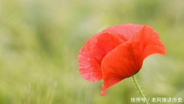 诗词中最美的25个“相思”名句,句句相思入骨,值得收藏