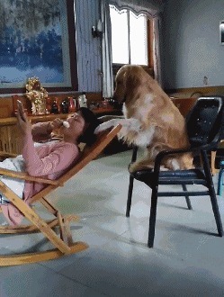 |搞笑GIF:女生千万不要穿裙子骑车 尤其是这种长裙子