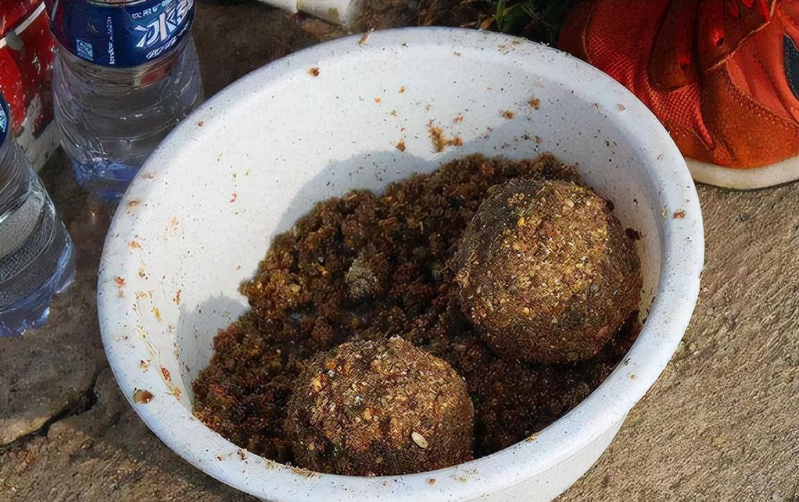 五至八度的冬天,到底还能不能钓到鲢鳙