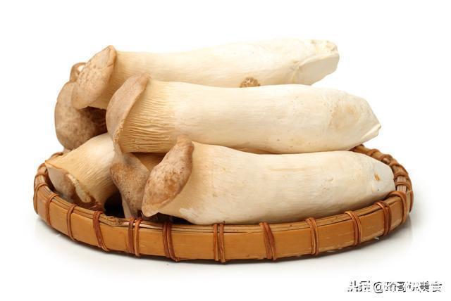 菌蕾|买杏鲍菇时，选大的好还是小的好？菜农：记住这5点，准没错