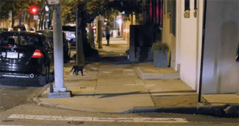 |搞笑GIF:妹子,我就想看看你怎么出来!