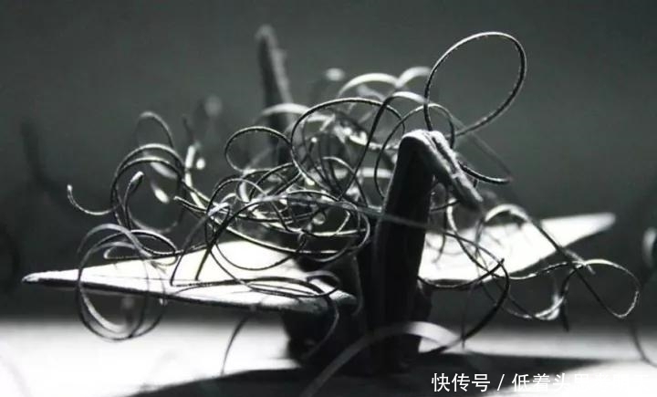 重样|每天折一只千纸鹤,他坚持了1000天不重样,女友被感动到梨花带雨