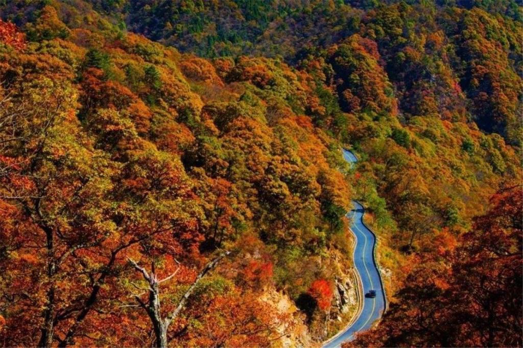 板桥村|元旦出行计划自驾江南天路，藏在烟雨青山里的神秘天路