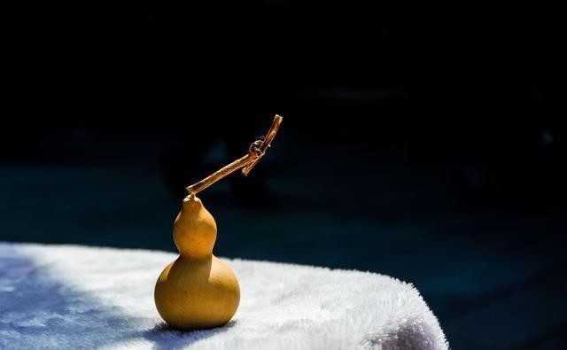 养殖|盆栽小葫芦容易出现黄叶,四点做好后,苗更壮,叶更绿