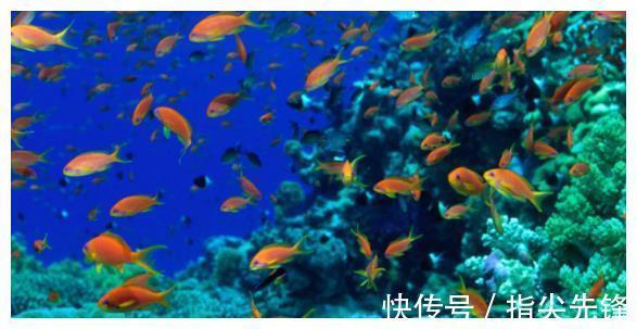钓鱼|我们在垂钓时说话，真的会吓跑鱼吗？