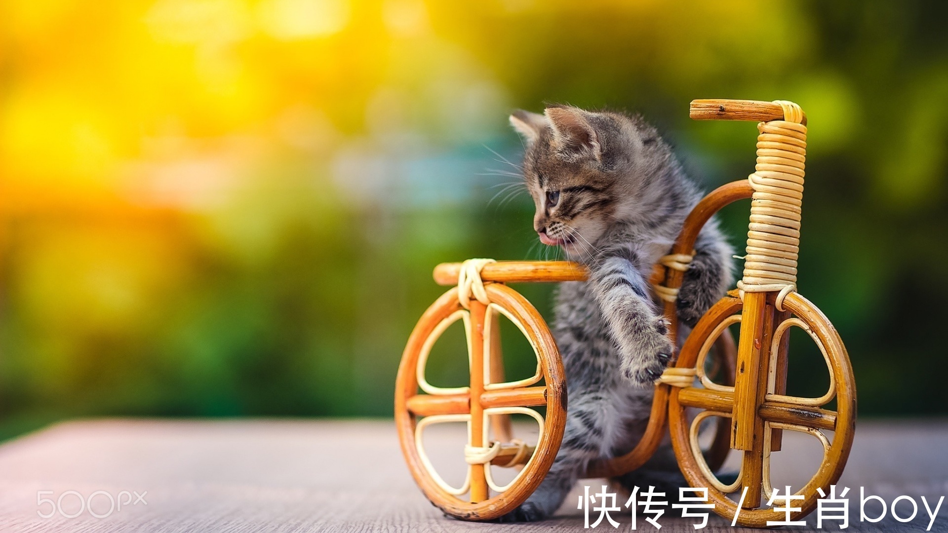 星座|能化解“社交恐惧症”的星座,和他们相处的时间越长,越是默契